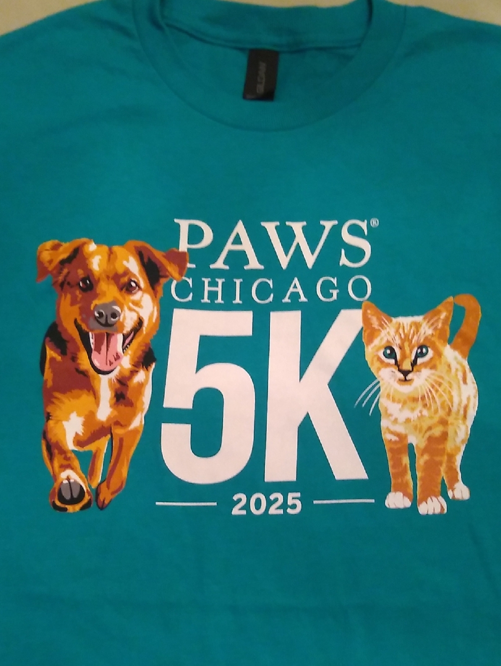 PAWS Chicago 5K 2025 T-Shirt